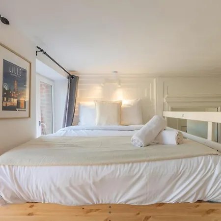 Joli A Deux Pas De L'universite Catholique * Rijsel