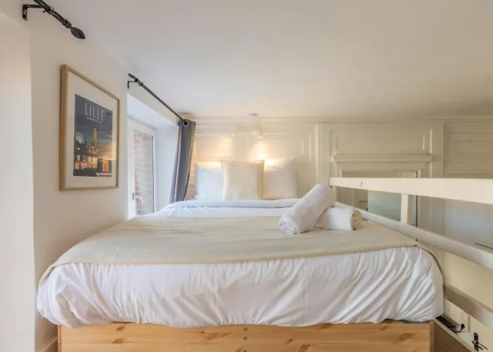 Joli A Deux Pas De L'universite Catholique * Rijsel